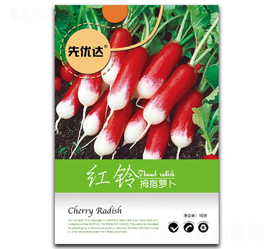 �t�-�}���N��-�ȃ�(y��u)�_