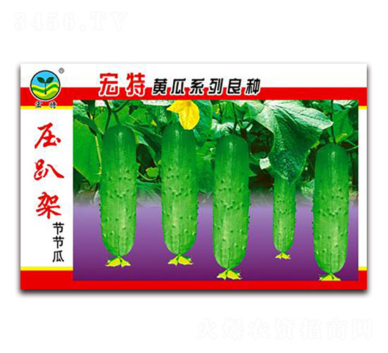 壓趴架節(jié)節(jié)瓜-黃瓜種子-宏特