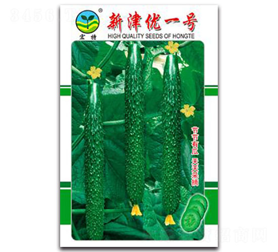 �½�(y��u)һ̖(h��o)-�S�ϷN��-����