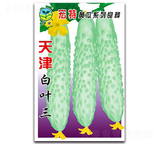 �������~-�S�ϷN��-����