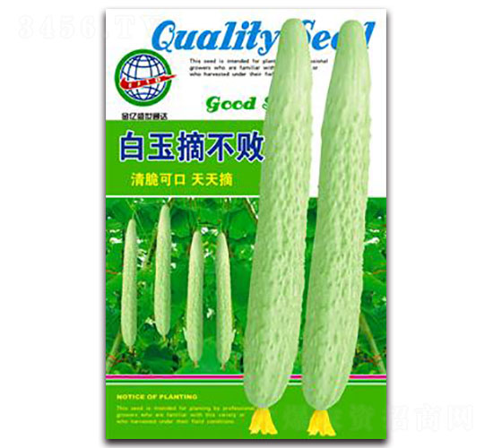 ����ժ����-�S�ϷN��-����