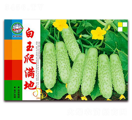 �������M��-�S�ϷN��-����