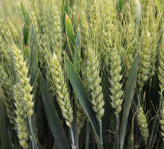 ����67-С���N��-���ǷN�I(y��)