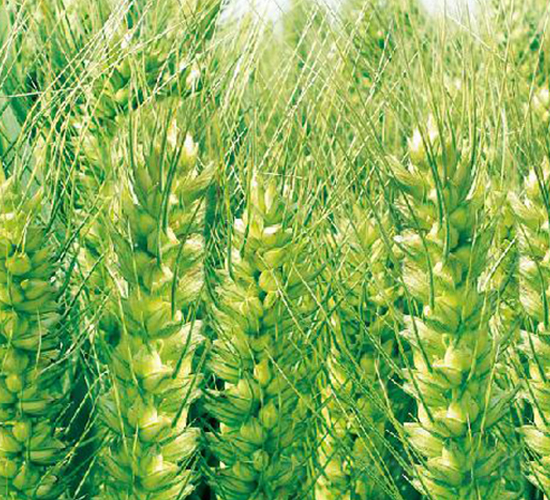 ����68-С���N��-���ǷN�I(y��)