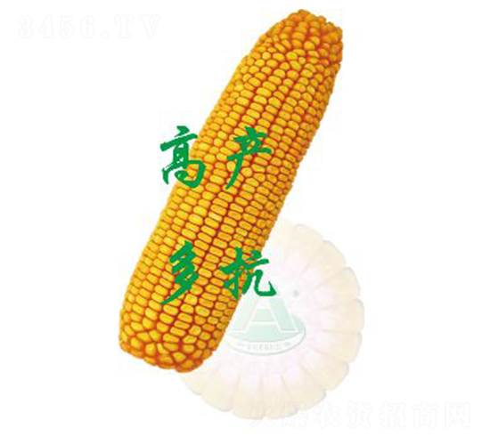 ����19-���׷N��-ԣ�S�N�I(y��)