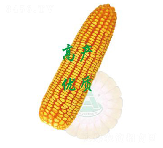 ����26-���׷N��-ԣ�S�N�I(y��)