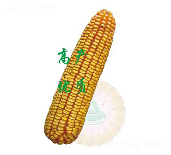 ����30-���׷N��-ԣ�S�N�I(y��)