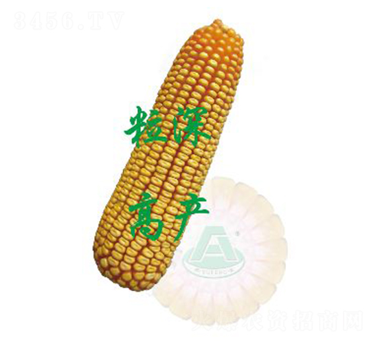 ����34-���׷N��-ԣ�S�N�I(y��)