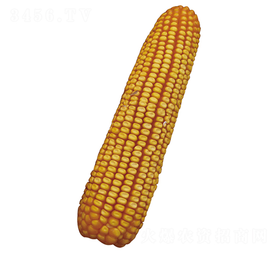 ԣ�S101-���׷N��-ԣ�S�N�I(y��)