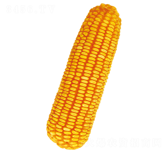 �r��116-���׷N��-ԣ�S�N�I(y��)