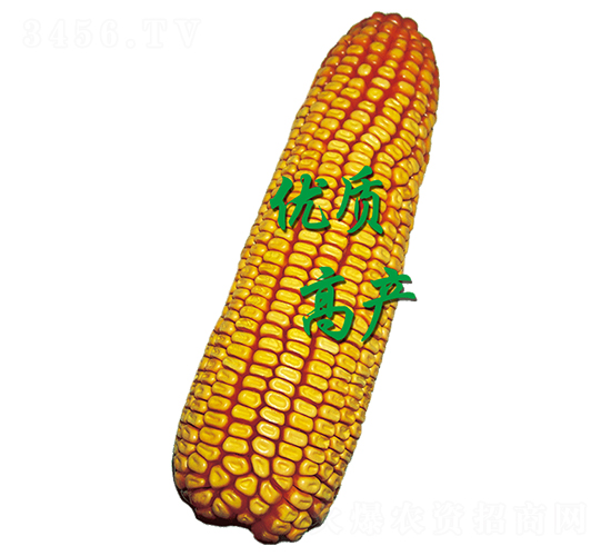 ԣ�S306-���׷N��-ԣ�S�N�I(y��)