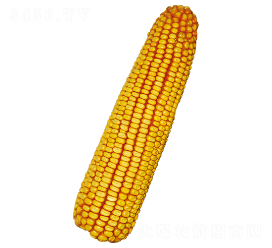 ԣ�S623-���׷N��-ԣ�S�N�I(y��)