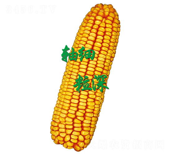 ԣ�S621-���׷N��-ԣ�S�N�I(y��)