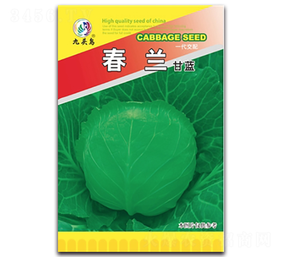 ���m���{-���{�N��-���^�B