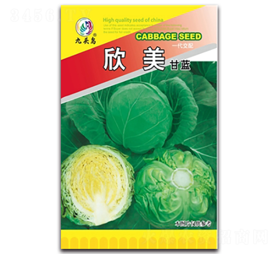 欣美甘藍(lán)-甘藍(lán)種子-九頭鳥