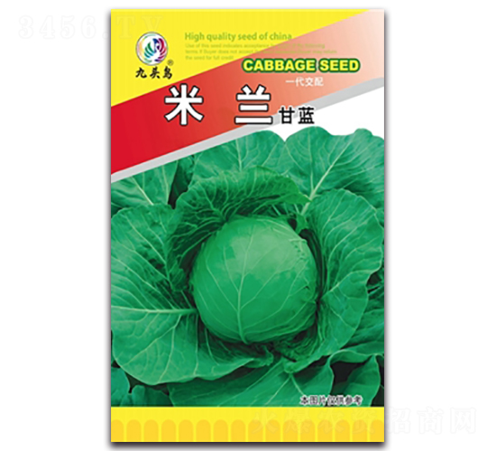 米蘭甘藍(lán)-甘藍(lán)種子-九頭鳥