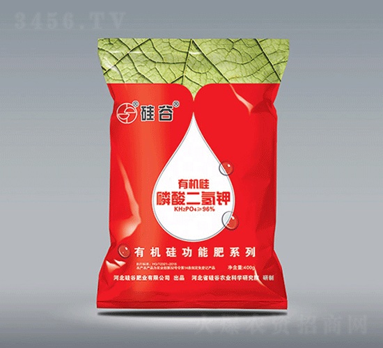 �ЙC(j��)����������-���