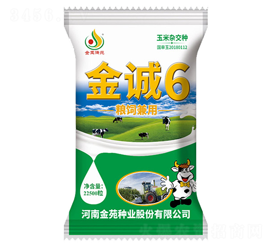 ���\6-���׷N��-��Է�N�I(y��)