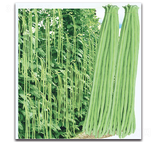 ���Ѷ���-���ǷN��-�F(xi��n)������