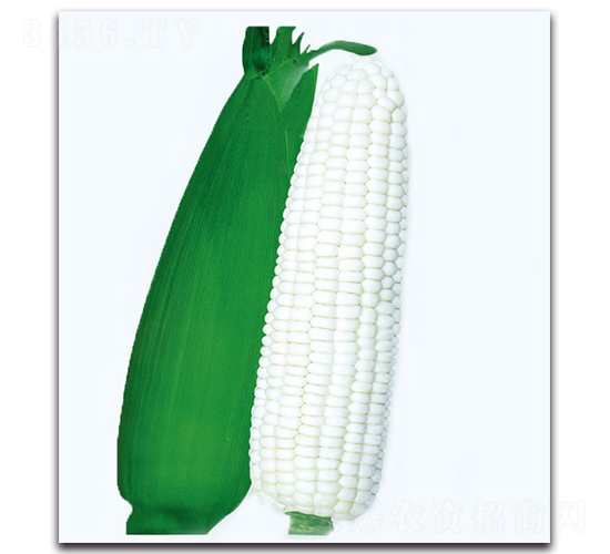 ��Ŵ2̖(h��o)����-Ŵ���׷N��-�F(xi��n)������