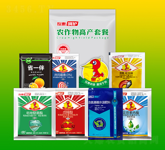 �r����߮a�ײ�-���ݺ��o