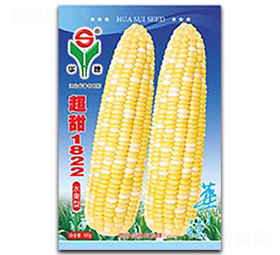 超甜1822-甜玉米種子-華穗種業(yè)