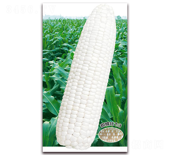 �f(w��n)Ŵ908-Ŵ���׷N��-�A��N�I(y��)