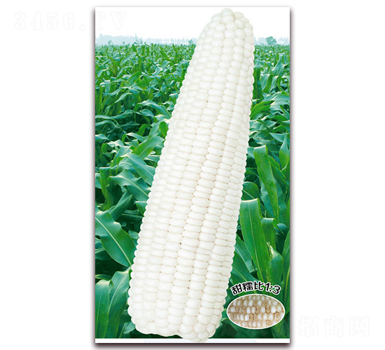 �fŴһ̖-Ŵ���׷N��-�A��N�I(y��)