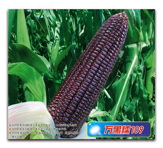 �f��Ŵ109-Ŵ���׷N��-�A��N�I(y��)