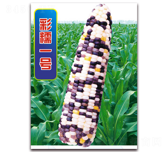 ��Ŵһ̖(h��o)-Ŵ���׷N��-�A��N�I(y��)