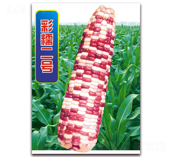 ��Ŵ��̖-Ŵ���׷N��-�A��N�I(y��)