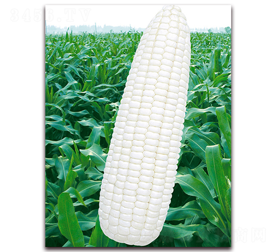 �f(w��n)Ŵ102-Ŵ���׷N��-�A��N�I(y��)