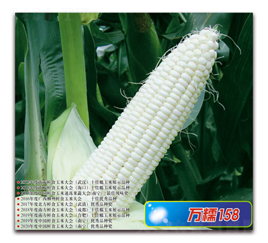 �fŴ158-Ŵ���׷N��-�A��N�I(y��)