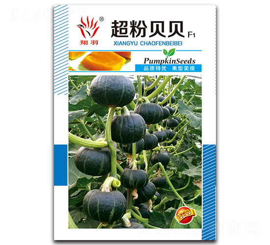 ����ؐؐ-�ϹϷN��-���ܷN�I(y��)