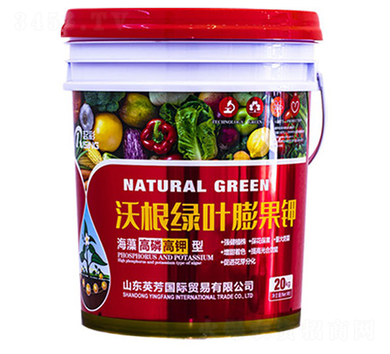 �ָ��G�~����-���-Ӣ��