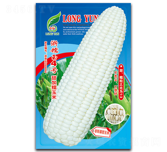 浙糯玉4號(hào)-糯玉米種子-京密種業(yè)