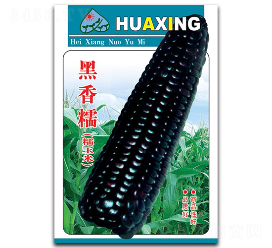 ����Ŵ-Ŵ���׷N��-���ܷN�I(y��)