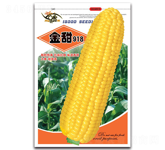 ����918-�����׷N��-���ܷN�I(y��)