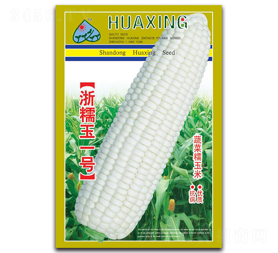 浙糯玉一號-糯玉米種子-京密種業(yè)