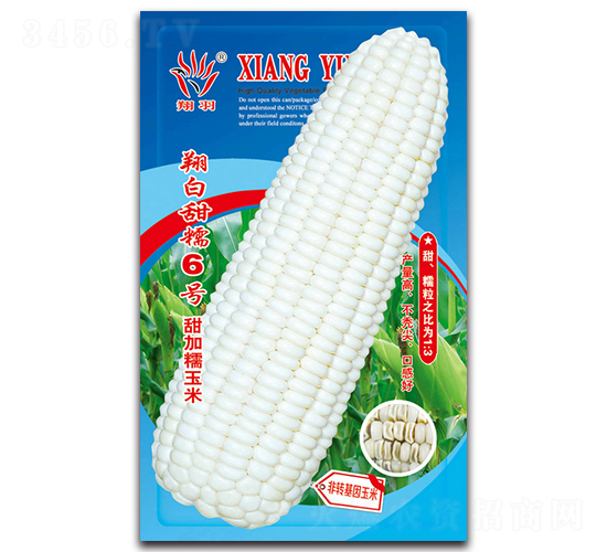 翔白甜糯6號-糯玉米種子-京密種業(yè)
