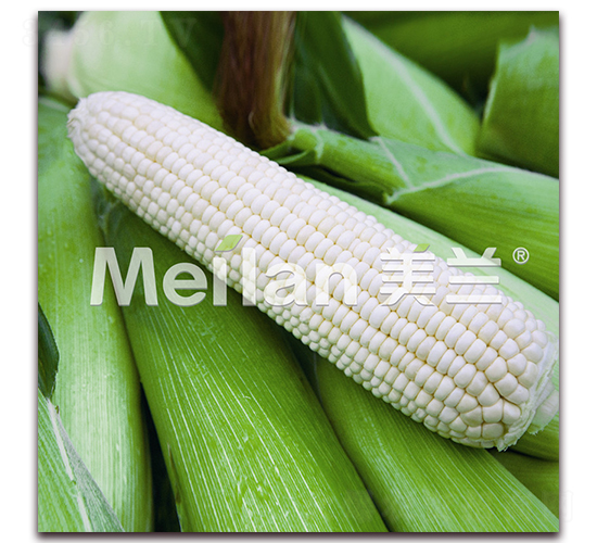 �������Ŵ20̖(h��o)-��Ŵ���׷N��-�G��