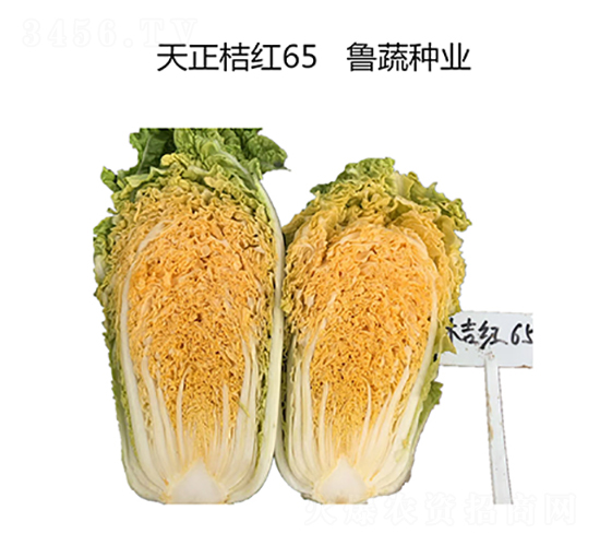 �����ۼt65-�ײ˷N��-���߷N�I(y��)