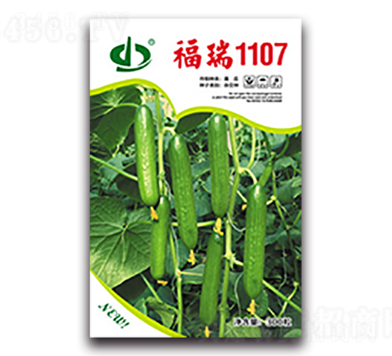 福瑞1107-黃瓜種子-天瑞種子