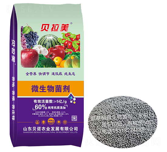 ؐ����΢�������-ؐ�Z