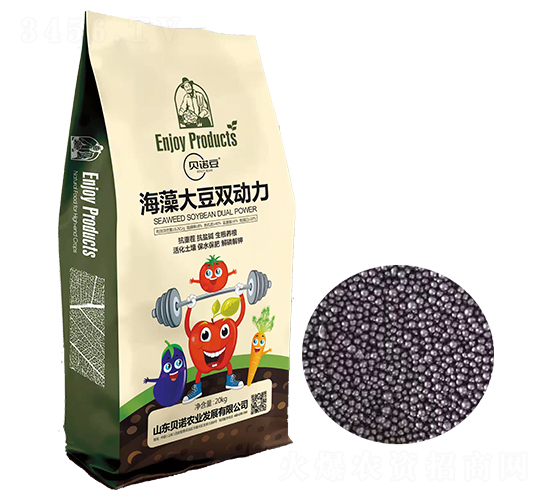 ������p����-ؐ�Z��-ؐ�Z