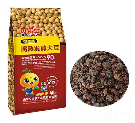 ����������l(f��)�ʹ�-ؐ�Z