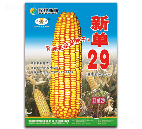 新單29-玉米種子-九圣禾