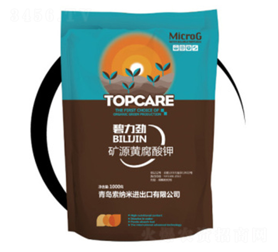 �VԴ�S�����-������-���{��