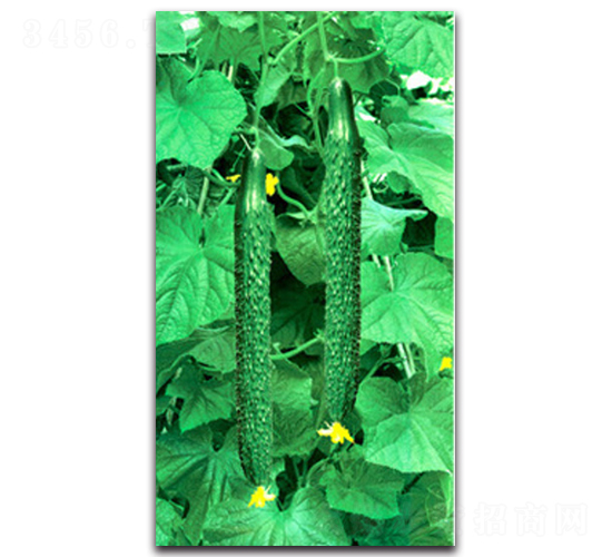 ��������һ̖-�S�ϷN��-�(y��u)�r(n��ng)�I(y��)