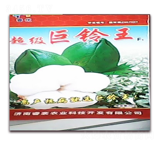 �������?f��)?�޻��N��-�(y��u)�r(n��ng)�I(y��)